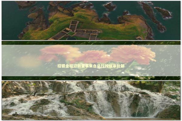 招银金租迎新董事来自总行授信审批部 招银金租迎新董事来自总行授信审批部 新闻