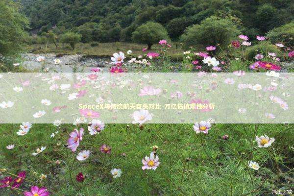 SpaceX与传统航天巨头对比-万亿估值理性分析 SpaceX与传统航天巨头对比-万亿估值理性分析 新闻