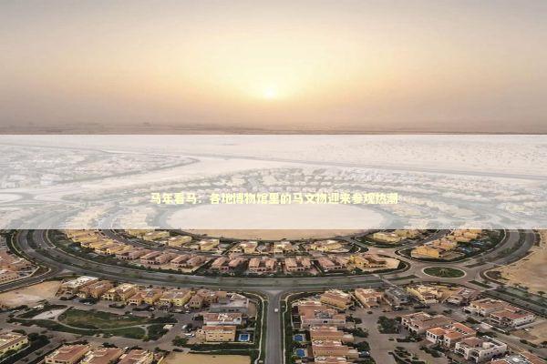 马年看马：各地博物馆里的马文物迎来参观热潮 新闻