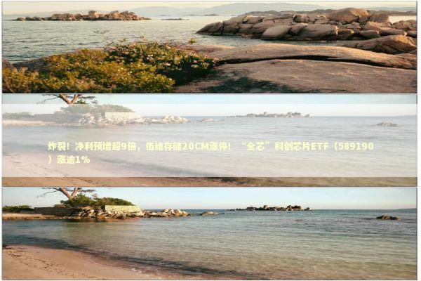 炸裂！净利预增超9倍，佰维存储20CM涨停！“全芯”科创芯片ETF（589190）涨逾1% 新闻