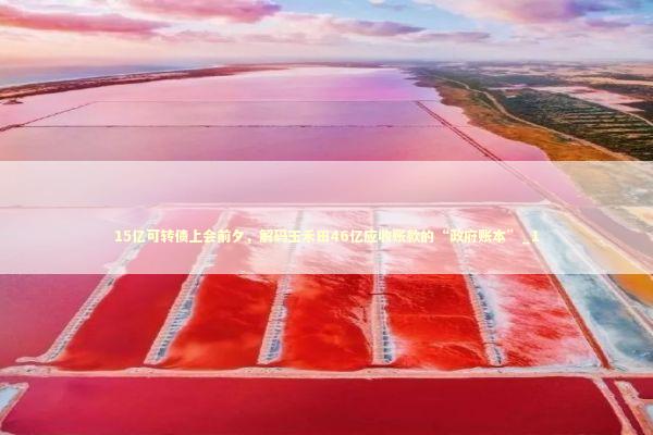 15亿可转债上会前夕，解码玉禾田46亿应收账款的“政府账本”_1 新闻