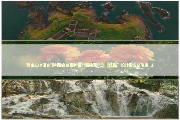 领克Z20语音误判致高速撞护栏！新能源汽车“炫酷”设计致安全隐患_2 新闻