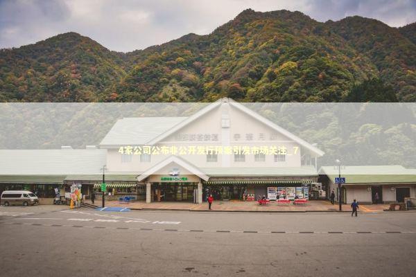 4家公司公布非公开发行预案引发市场关注_7 新闻