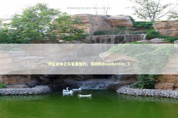 大钲资本已与雀巢签约，将收购BlueBottle_3 新闻