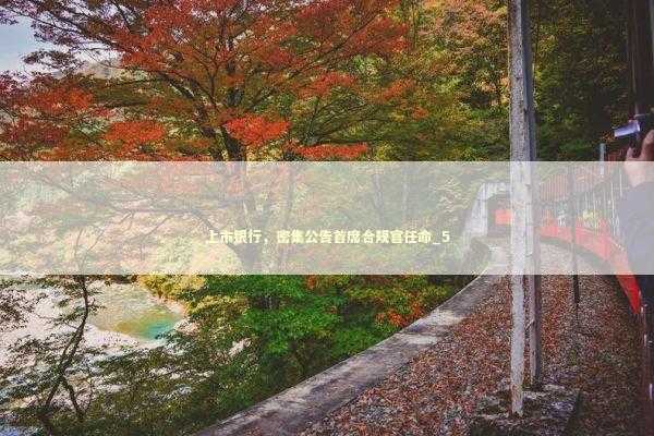 上市银行,密集公告首席合规官任命_5 上市银行,密集公告首席合规官任命_5 新闻