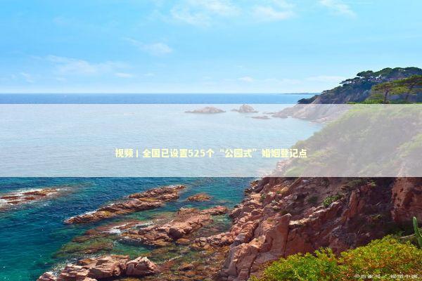 视频丨全国已设置525个“公园式”婚姻登记点 新闻