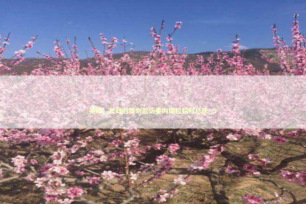 英媒：美政府策划起诉委内瑞拉临时总统_5 新闻