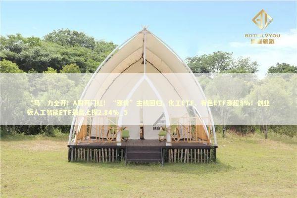 “马”力全开！A股开门红！“涨价”主线回归，化工ETF、有色ETF涨超3%！创业板人工智能ETF最高上探2.84%_5 新闻