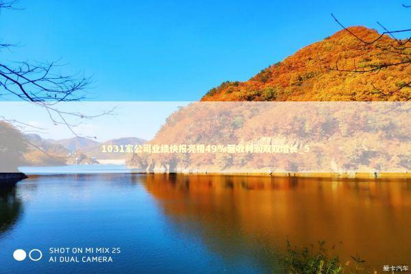 1031家公司业绩快报亮相49%营收利润双双增长_5 新闻