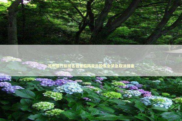 苏州银行拟提名独董临阵变卦股东会紧急取消提案 苏州银行拟提名独董临阵变卦股东会紧急取消提案 新闻