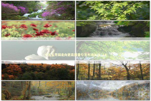 十五五开局走向更高质量引发市场关注_14 新闻