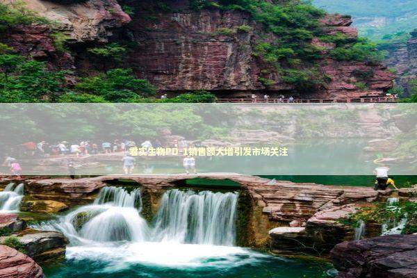 君实生物PD-1销售额大增引发市场关注 新闻