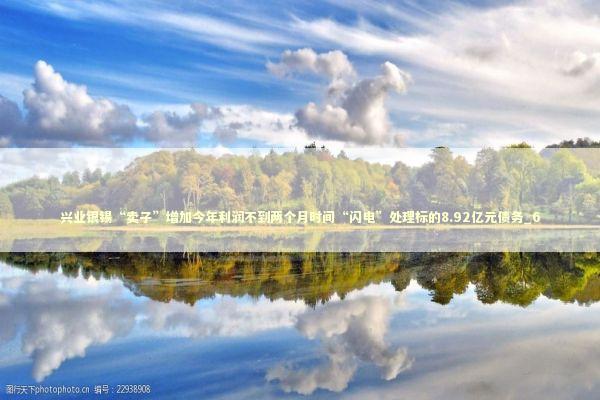 兴业银锡“卖子”增加今年利润不到两个月时间“闪电”处理标的8.92亿元债务_6 新闻