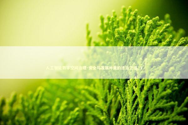 人工智能数字空间治理-安全与发展并重的法治之道_1 新闻