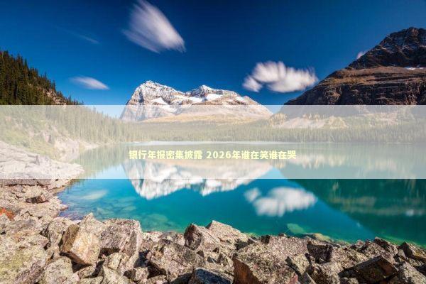 银行年报密集披露 2026年谁在笑谁在哭 新闻