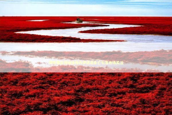 伊朗最高领袖哈梅内伊遇袭身亡引发市场关注 新闻