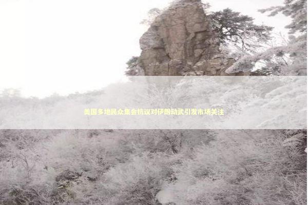 美国多地民众集会抗议对伊朗动武引发市场关注 美国多地民众集会抗议对伊朗动武引发市场关注 新闻