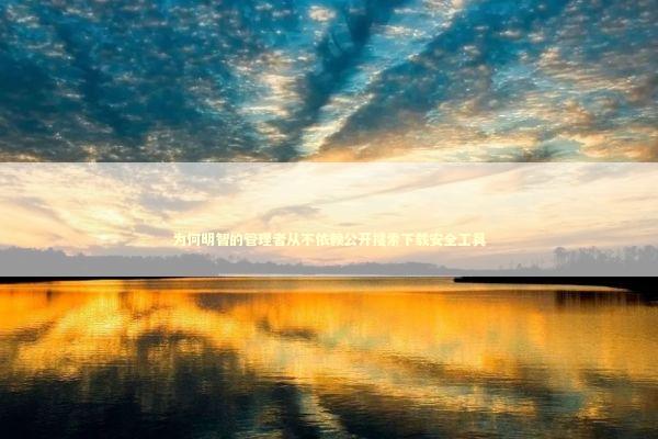 为何明智的管理者从不依赖公开搜索下载安全工具