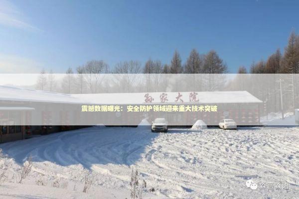 震撼数据曝光：安全防护领域迎来重大技术突破 IT技术