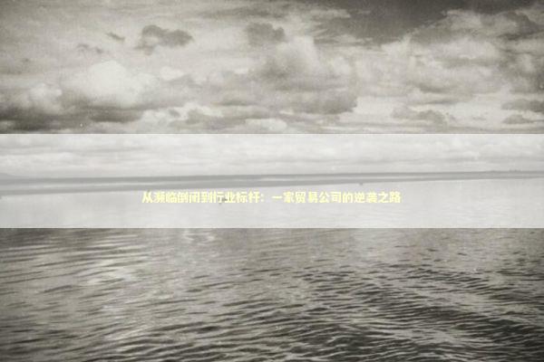 从濒临倒闭到行业标杆：一家贸易公司的逆袭之路 企业服务