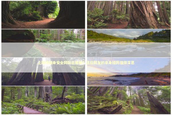 上网找健身安全网站总被骗？这位网友的亲身经历值得深思 体育新闻