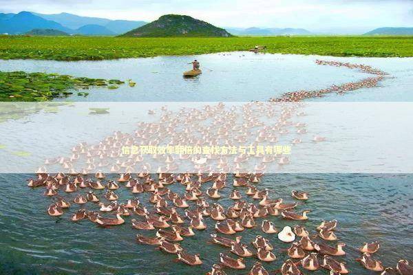 信息获取效率翻倍的查找方法与工具有哪些 IT技术