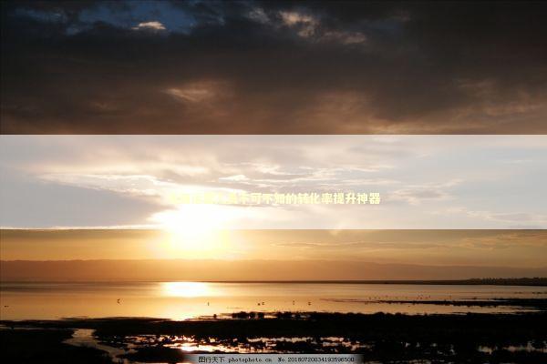 电商运营人员不可不知的转化率提升神器 新闻