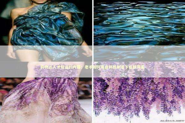 购物达人才知道的内幕：老手如何用返利机制省下巨额开支 新闻